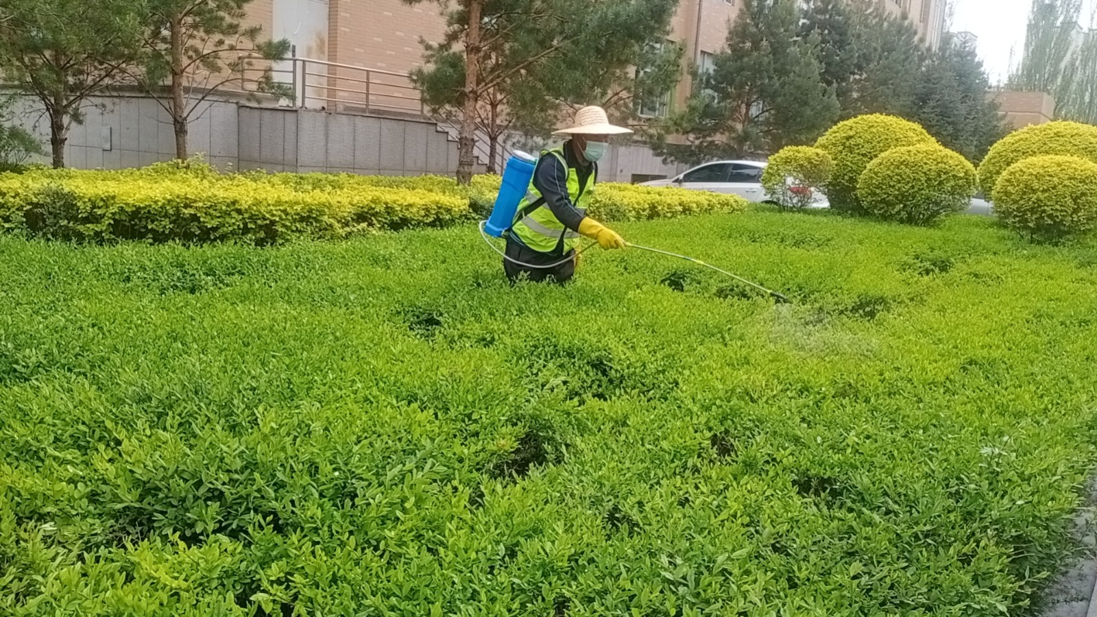 &#38886;&#24503;&#32593;&#31449;&#45;&#40;&#20013;&#22269;&#41;&#26377;&#38480;&#36131;&#20219;&#38886;&#24503;&#32593;&#31449;
